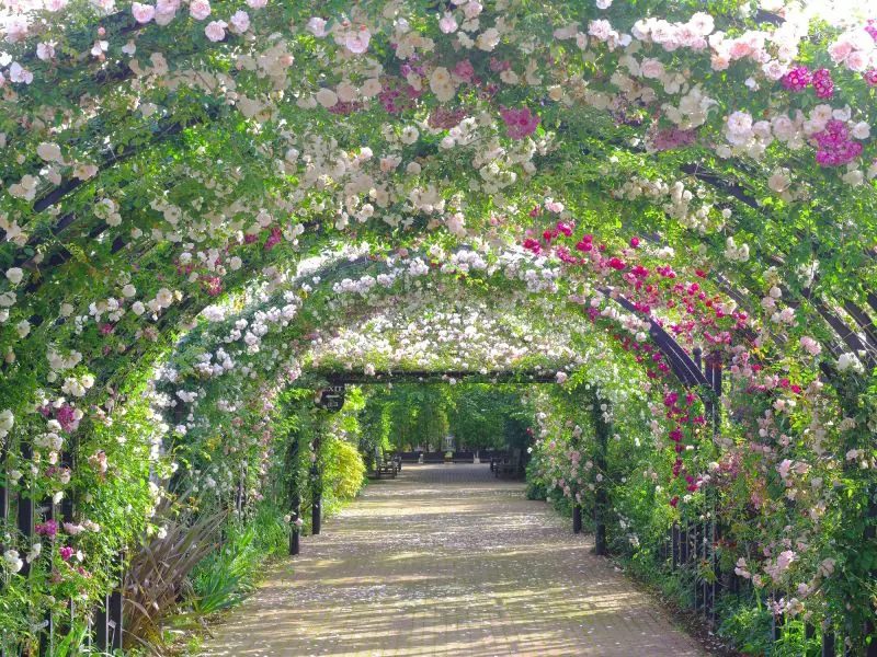 横浜イングリッシュガーデンの様子